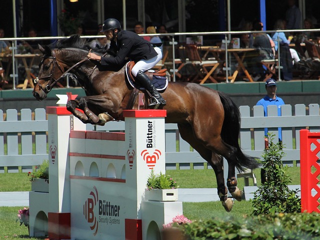 作為一名在 作為一名在