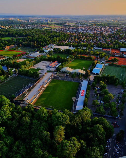 在大马羽总 在大马羽总