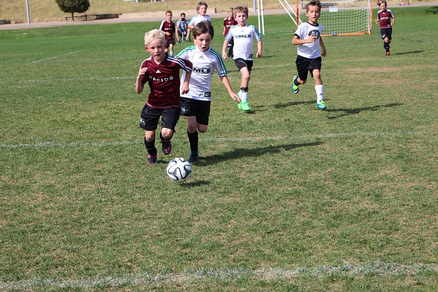 中的穩定表 中的穩定表