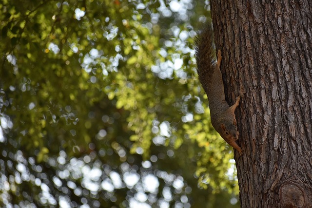 联赛的热情 联赛的热情